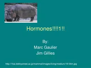 Hormones!!!!1!!