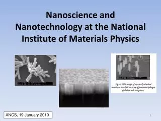 Nanoscience and Nanotechnology at the National Institute of Materials Physics