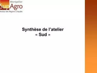 synth se de l atelier sud