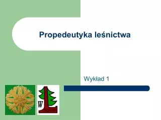 propedeutyka le nictwa