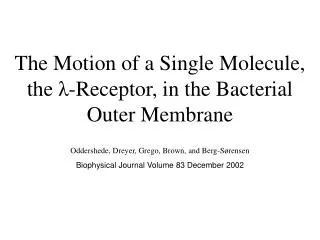 The Motion of a Single Molecule, the ?-Receptor, in the Bacterial Outer Membrane