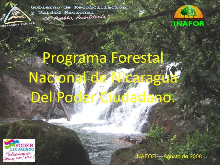 programa forestal nacional de nicaragua del poder ciudadano