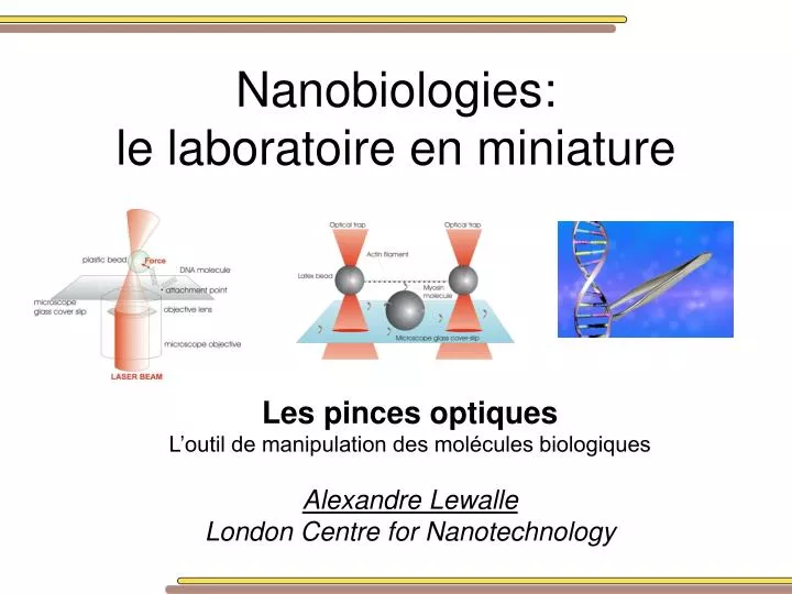 nanobiologies le laboratoire en miniature
