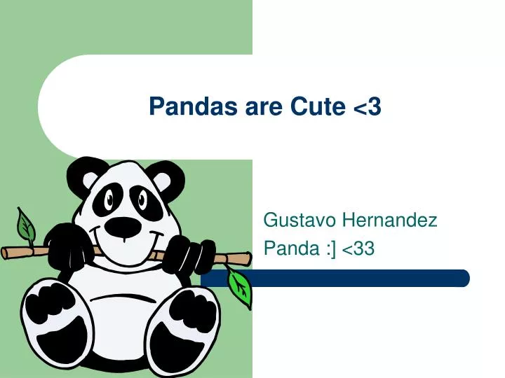 pandas are cute 3