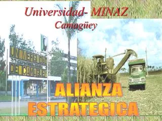 universidad minaz camag ey