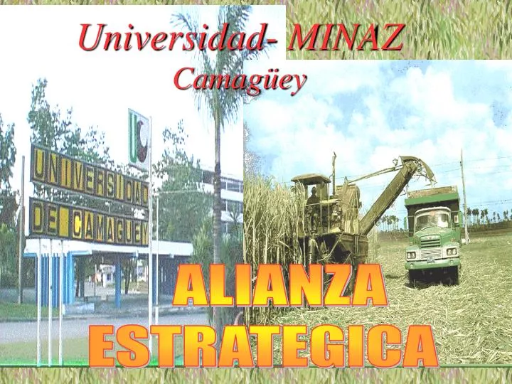 universidad minaz camag ey