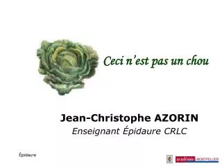 ceci n est pas un chou