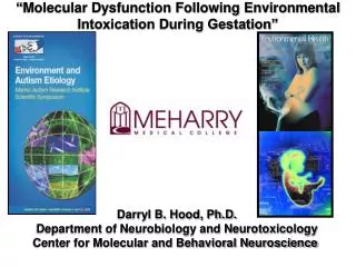Darryl B. Hood, Ph.D. Department of Neurobiology and Neurotoxicology