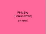 Pink Eye (Conjunctivitis) - slide 1