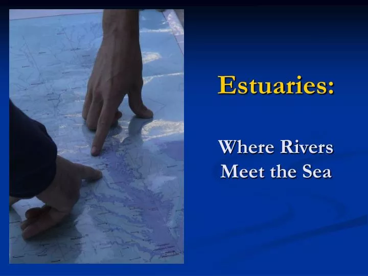 estuaries where rivers meet the sea