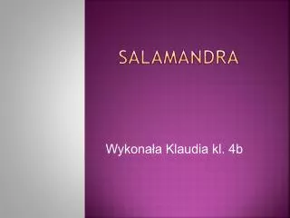 salamandra