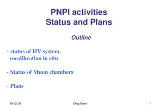 PNPI activities Status and Plans