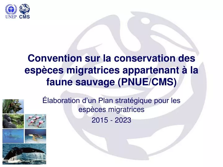 convention sur la conservation des esp ces migratrices appartenant la faune sauvage pnue cms