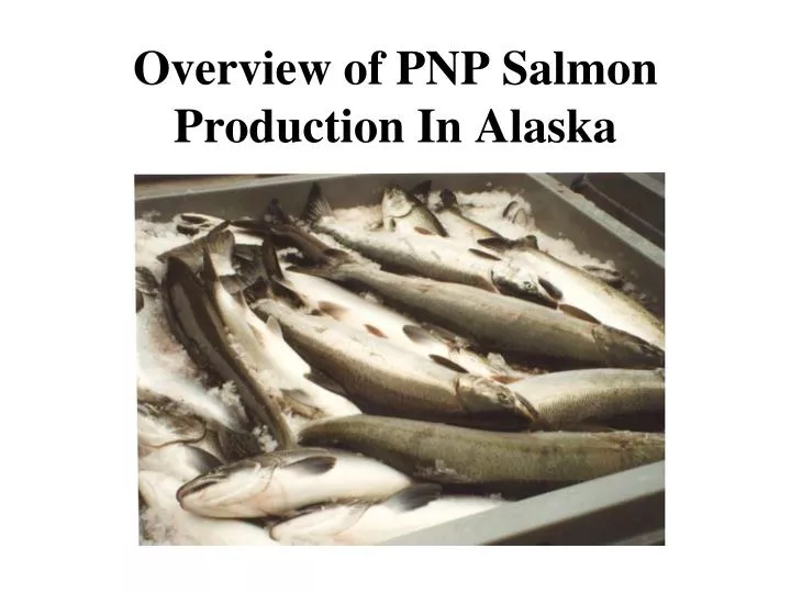overview of pnp salmon production in alaska
