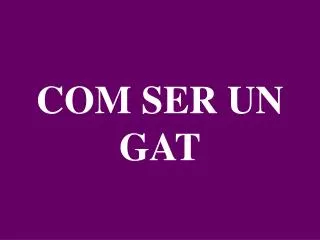 com ser un gat