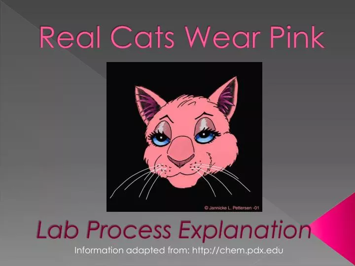 real cats wear pink