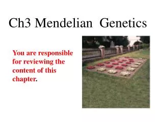 Ch3 Mendelian Genetics