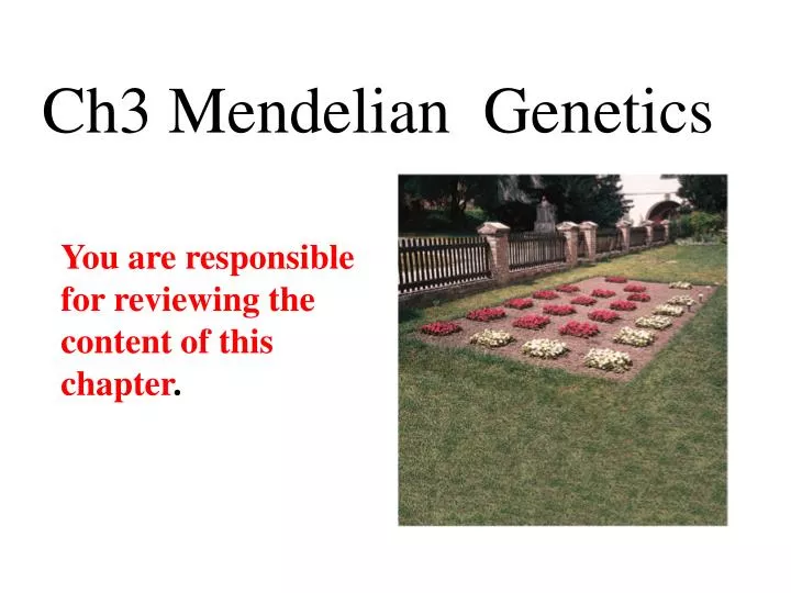 ch3 mendelian genetics