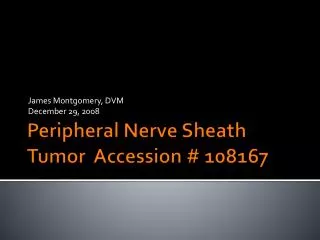 Peripheral Nerve Sheath Tumor Accession # 108167