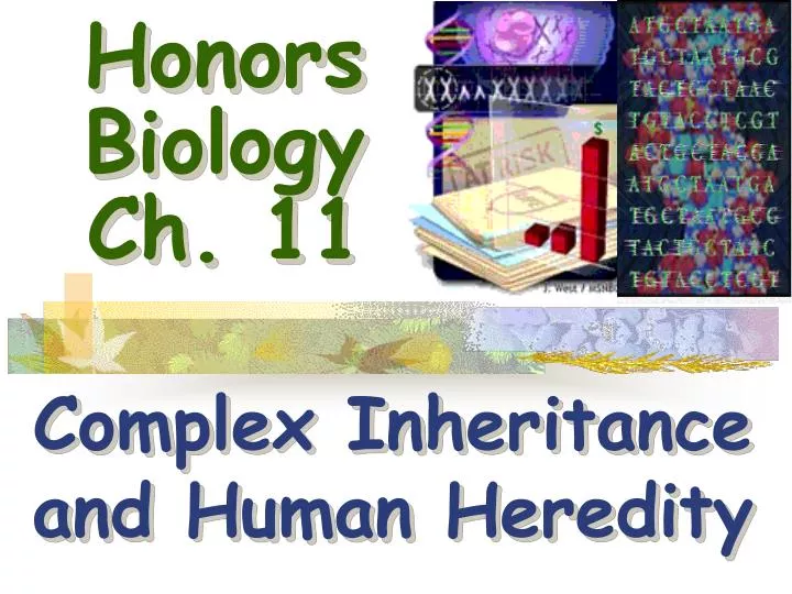 honors biology ch 11