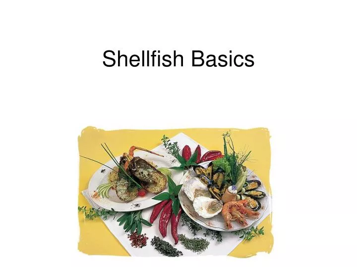 shellfish basics