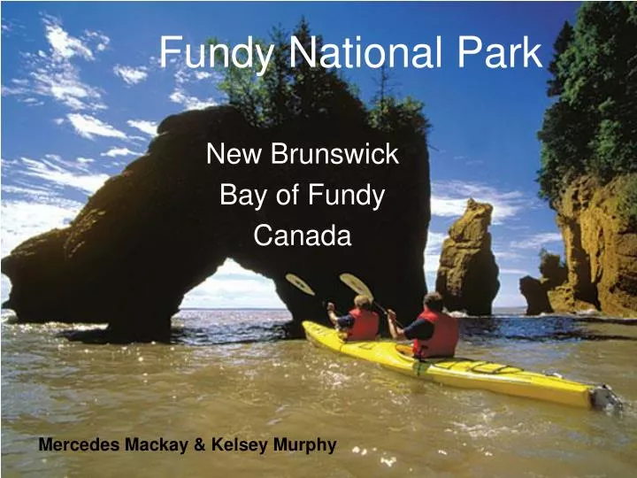fundy national park