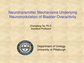 Neurotransmitter Mechanisms Underlying Neuromodulation of Bladder Overactivity