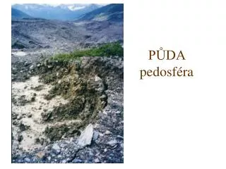 p da pedosf ra