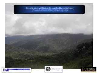 Forest Structure and Biodiversity on a Cloud Forest Lee Margin