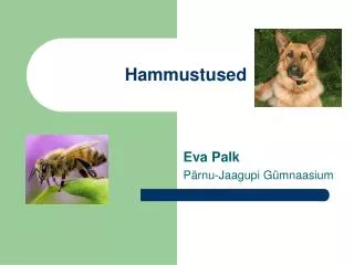 hammustused