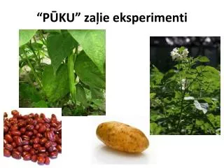 “PŪKU” zaļie eksperimenti