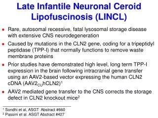 Late Infantile Neuronal Ceroid Lipofuscinosis (LINCL)