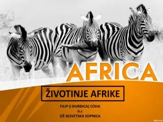 ivotinje afrike