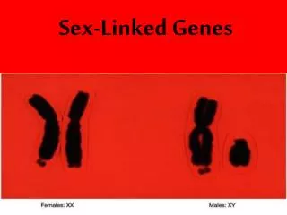 Sex-Linked Genes