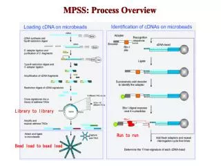 MPSS: Process Overview