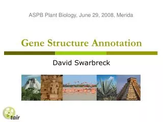 Gene Structure Annotation