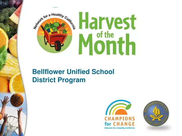 bellflower unified school district program