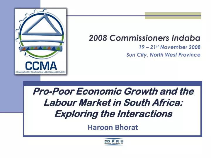 pro poor economic growth and the labour market in south africa exploring the interactions