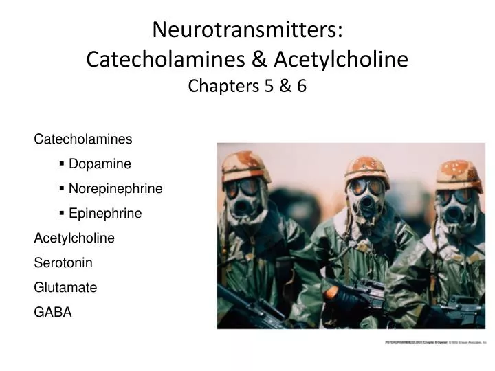 neurotransmitters catecholamines acetylcholine chapters 5 6