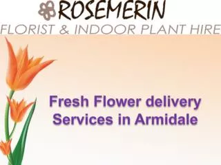 Fresh Flower delivery Services in Armidale