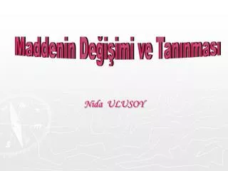 nida ulusoy