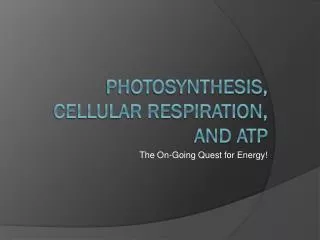 the on going quest for energy