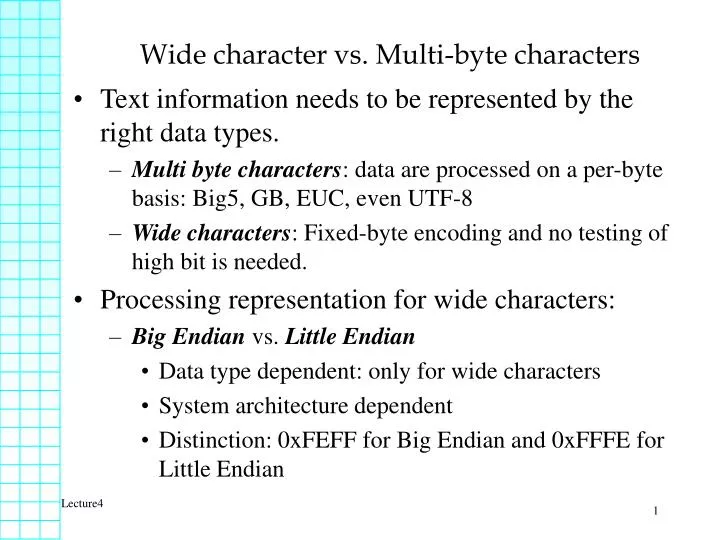 wide character vs multi byte characters