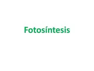 fotos ntesis