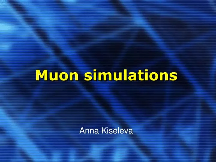 muon simulations