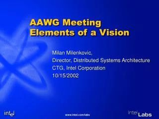 AAWG Meeting Elements of a Vision