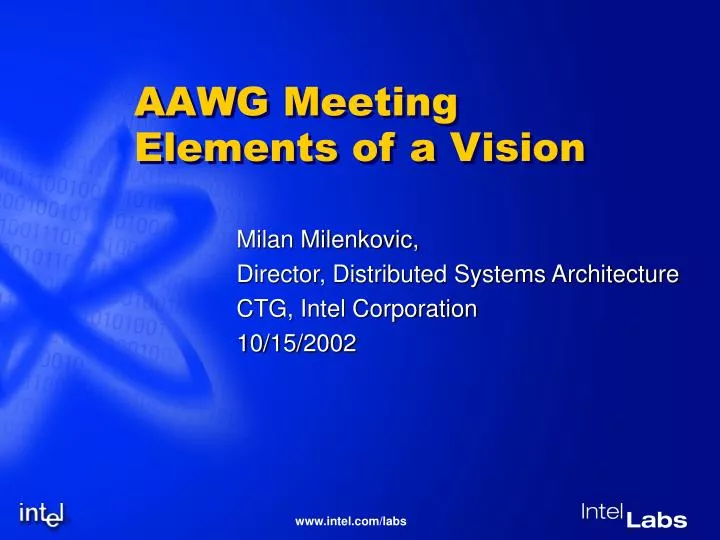 aawg meeting elements of a vision