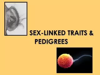 SEX-LINKED TRAITS &amp; PEDIGREES