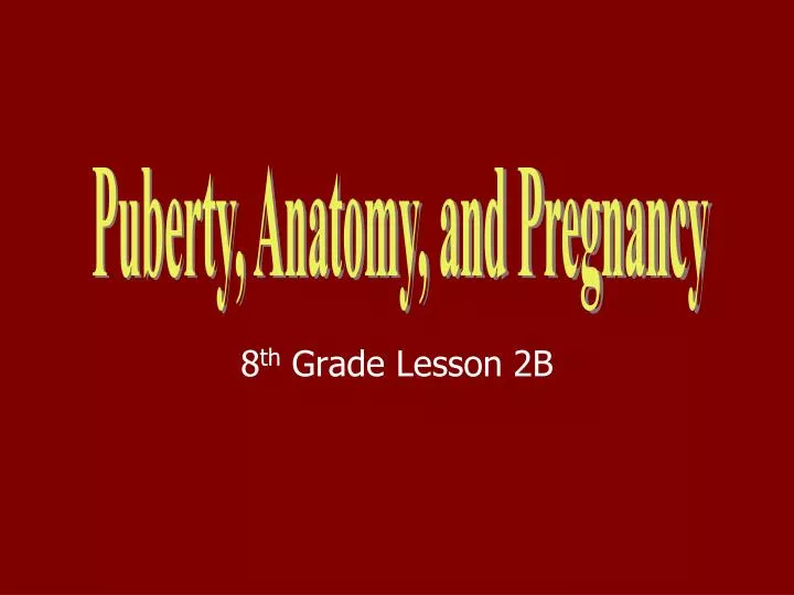 8 th grade lesson 2b
