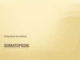 amputace kon etiny